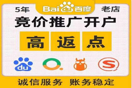 百度竞价广告的投放策略与成功案例分析